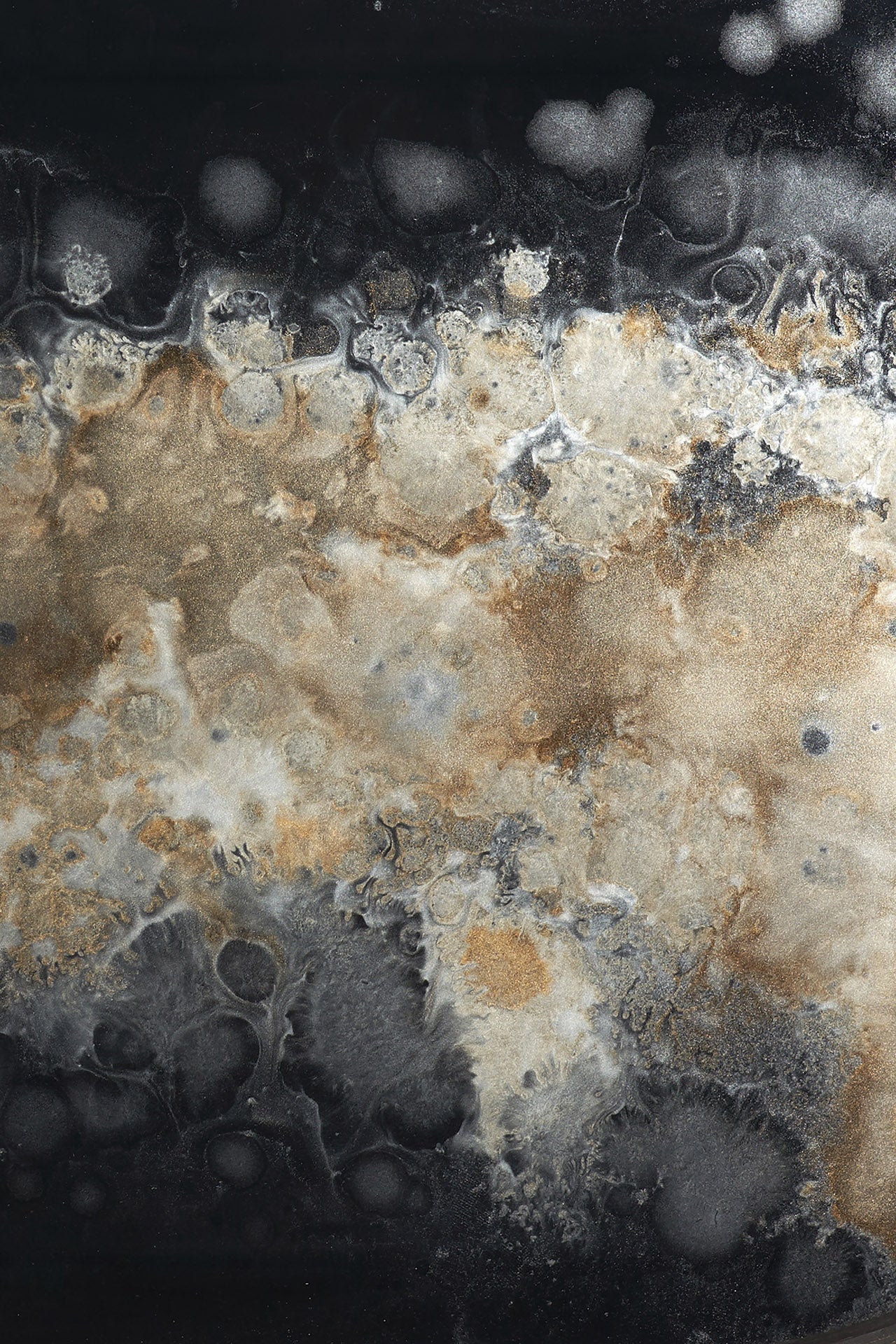 Oblong Black Glass Organic Tray - Image 5