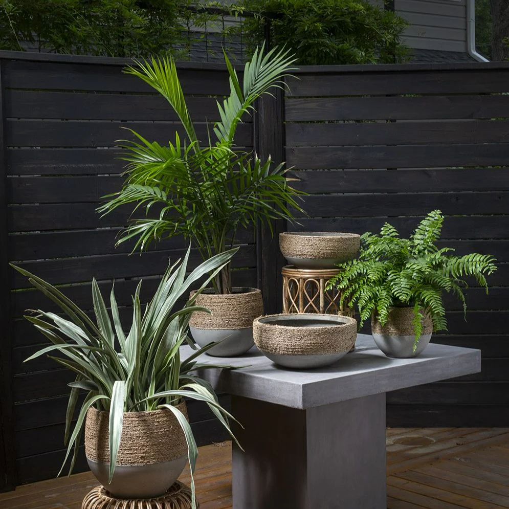 Reed Pot - Image 3