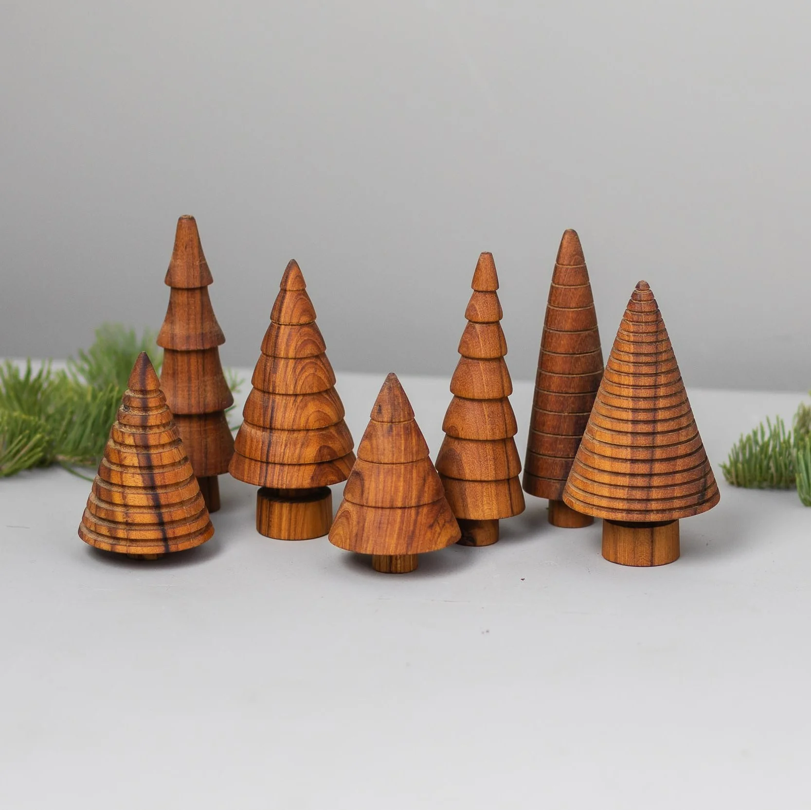 Teak Woodland Forest Tree, Fir - Image 3